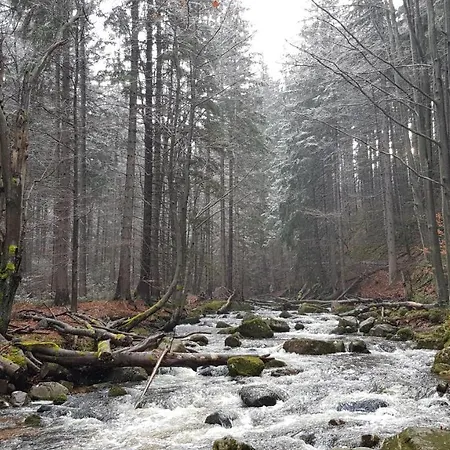 Villa Leika - Panoramablick Am Riesengebirge Mysłakowice