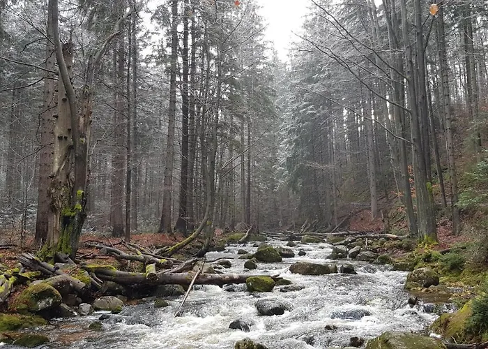 Villa Leika - Panoramablick Am Riesengebirge Mysłakowice